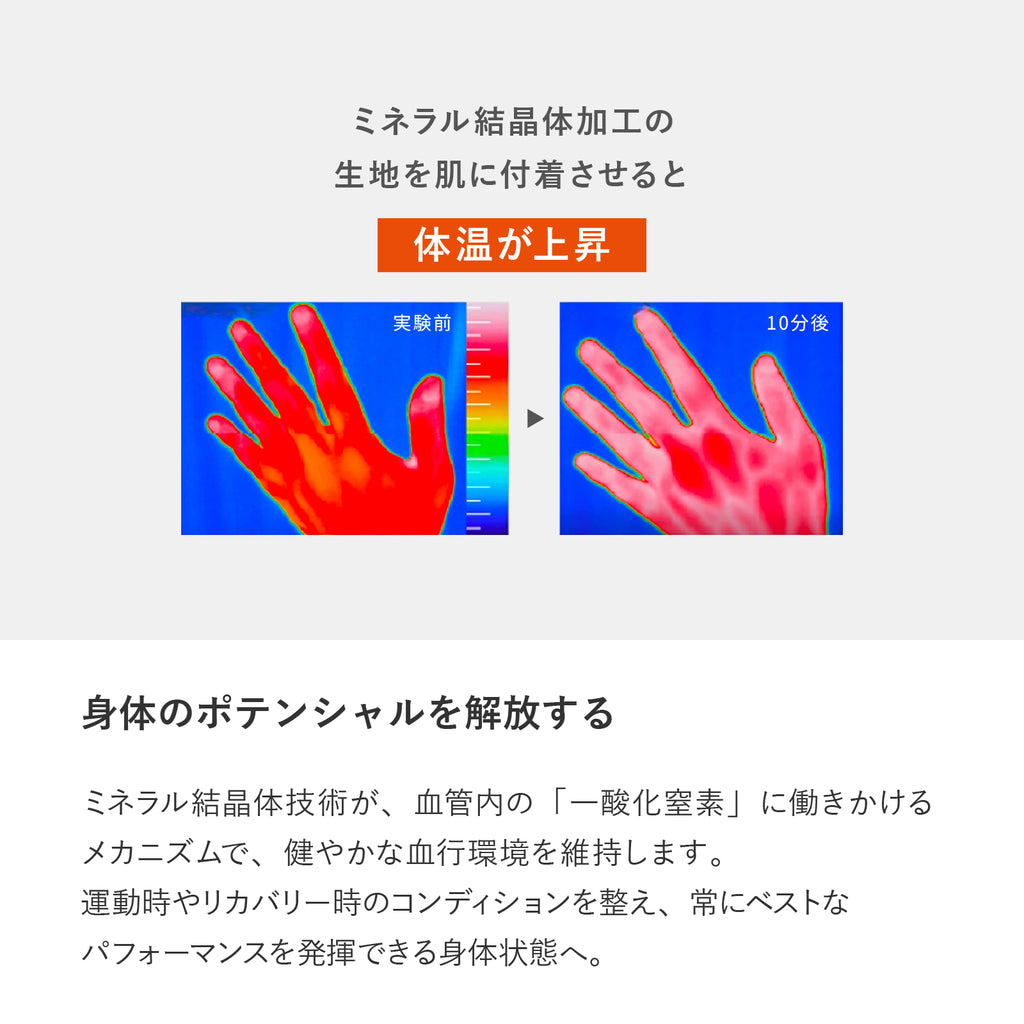 ベルガードシューレース