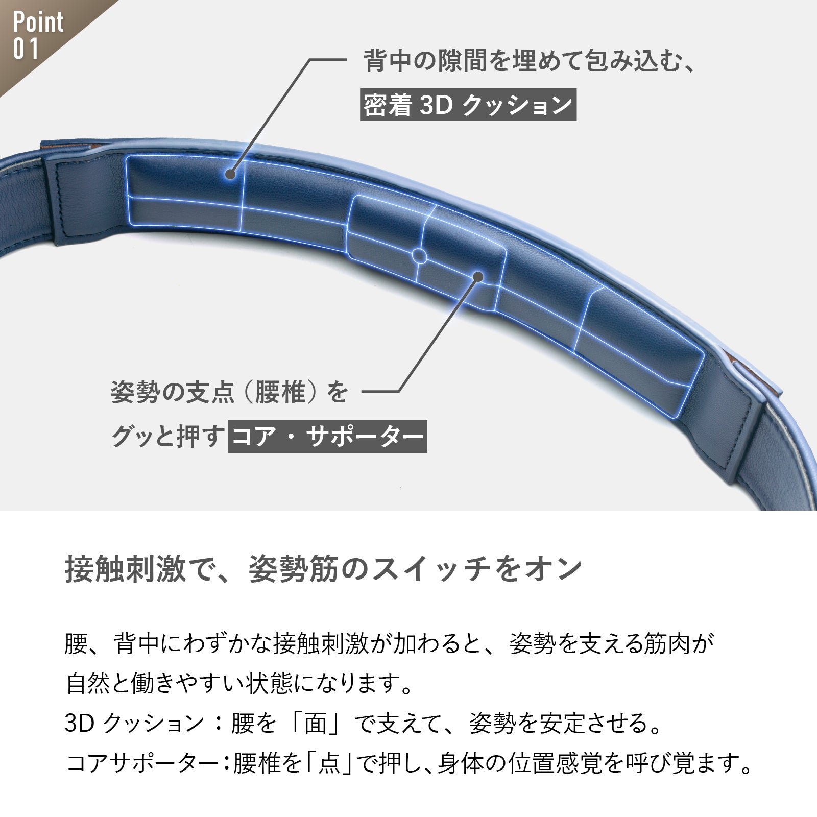 【CORESTベルト 】ベーシックタイプ