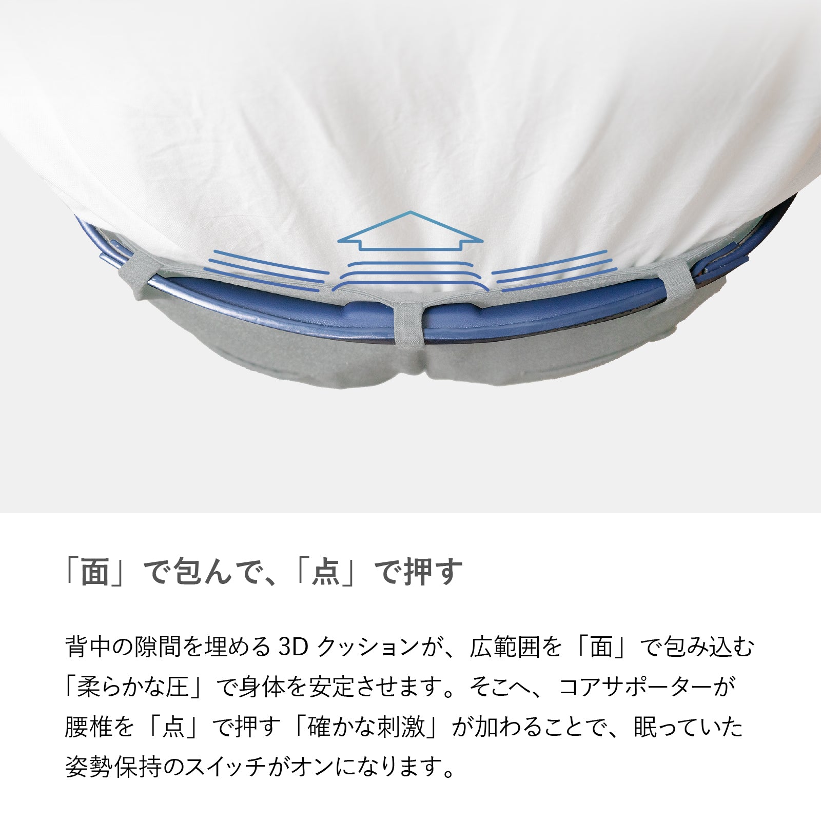 【CORESTベルト 】ベーシックタイプ