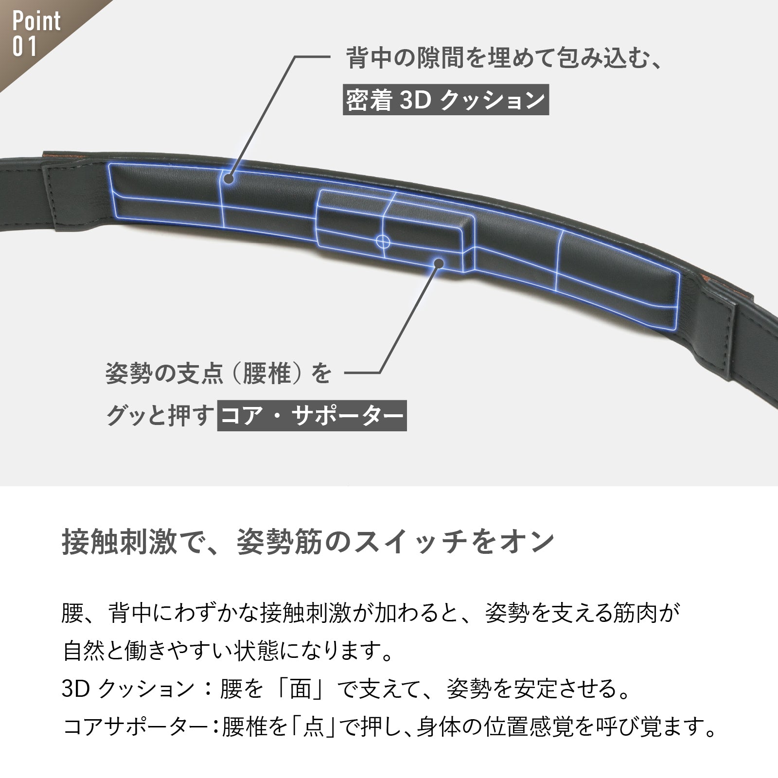 【CORESTベルト 】インナータイプ