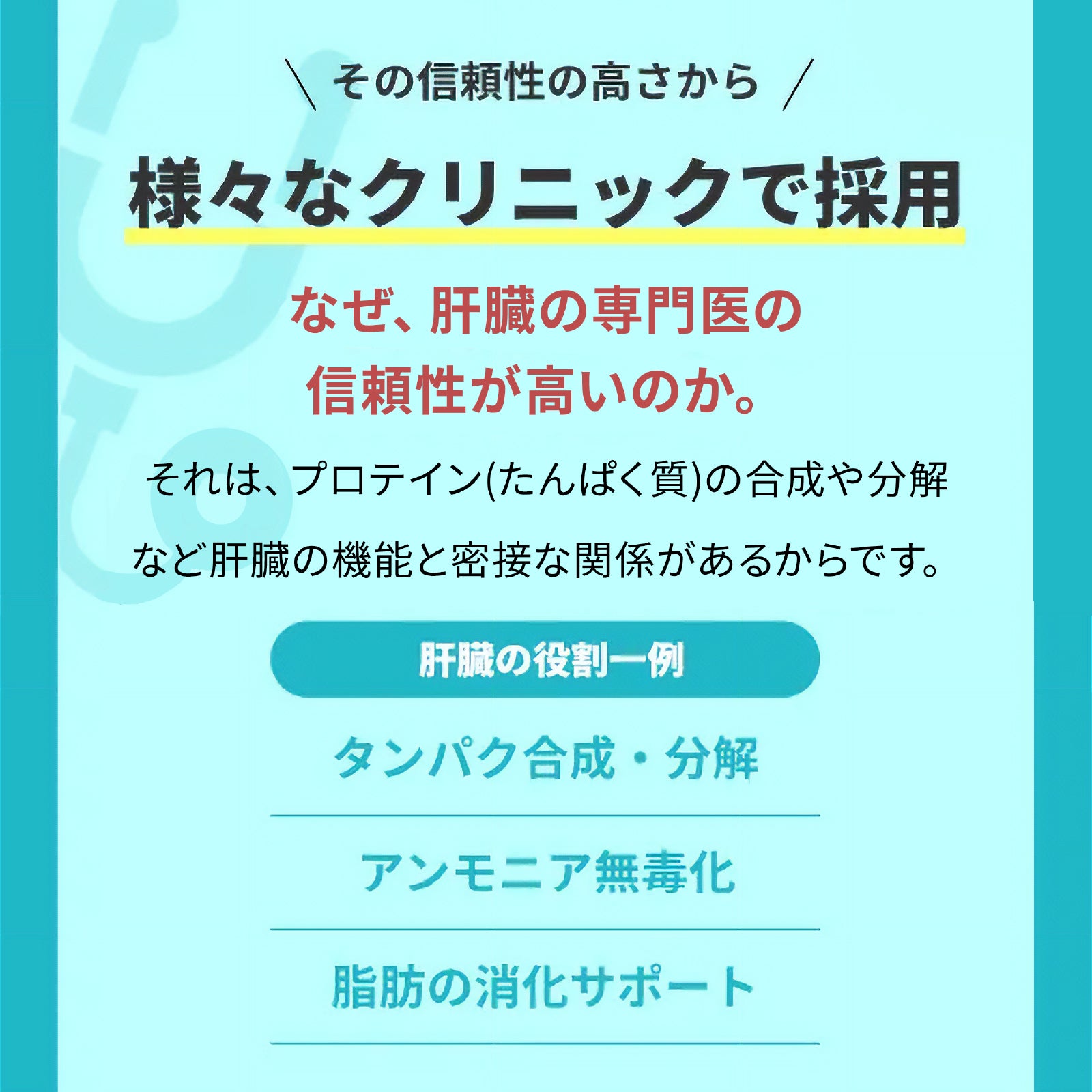 医食同源プロテイン